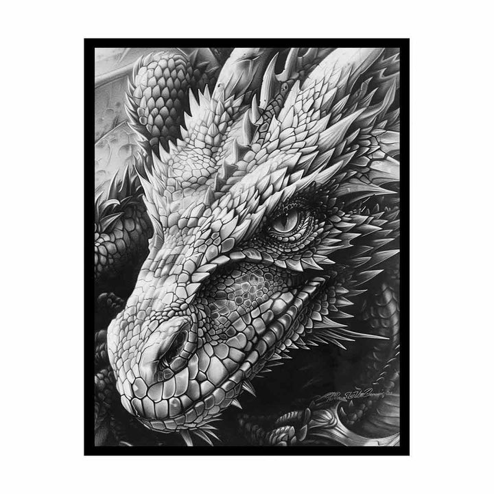 Dragon Drawing canvas Print