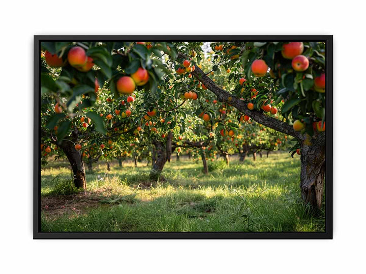 Orchards Art canvas Print