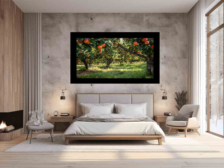 Orchards Art Print