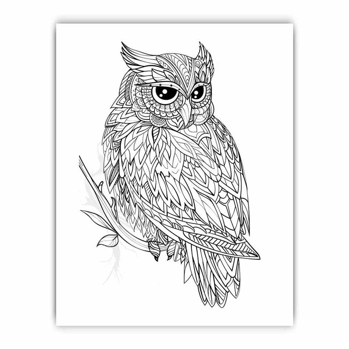 Colour Me  Owl framed Print