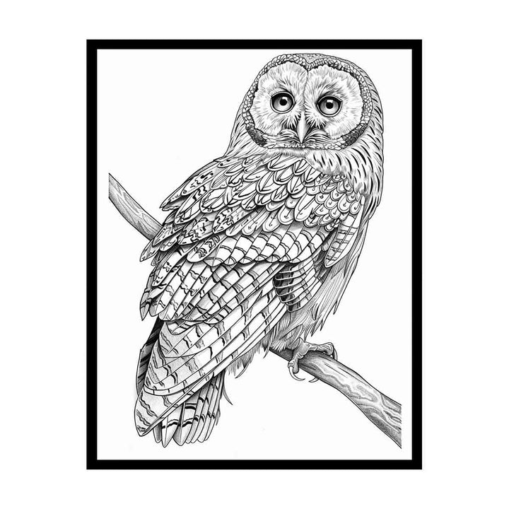 Color Me Owl canvas Print