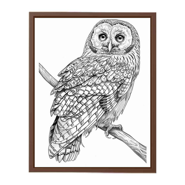 Color Me Owl Painting