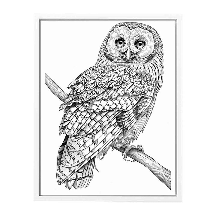 Color Me Owl Painting