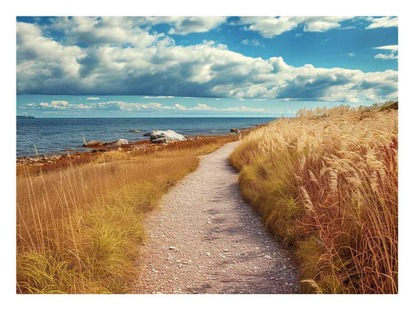 Beach Path  Art Print