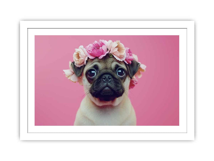 Pug Dog  framed Print