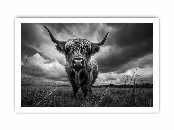 Highland cow print framed Print