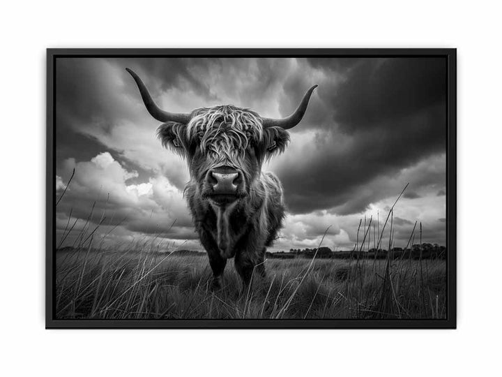 Highland cow print canvas Print