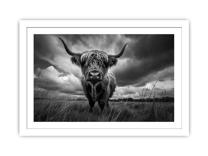 Highland cow print framed Print