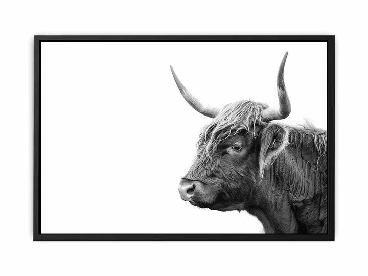 Cow Art  canvas Print