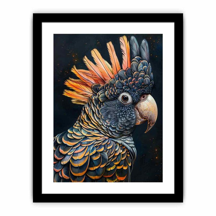 Cockatoo Black framed Print