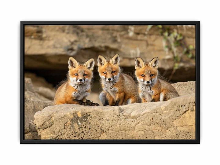 Three Red Fox Kits Art canvas Print