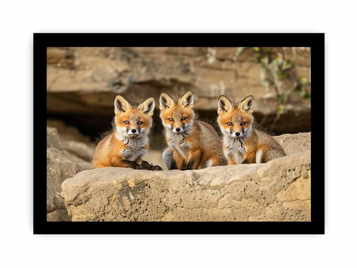 Three Red Fox Kits Art  framed Print