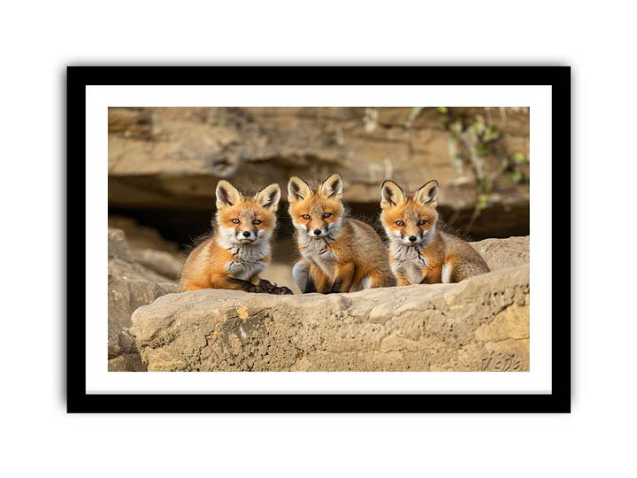 Three Red Fox Kits Art  framed Print