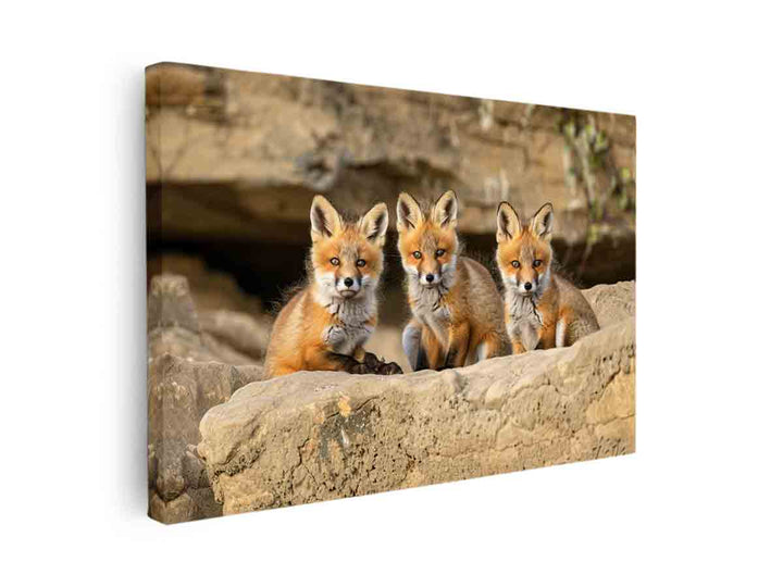 Three Red Fox Kits Art canvas Print