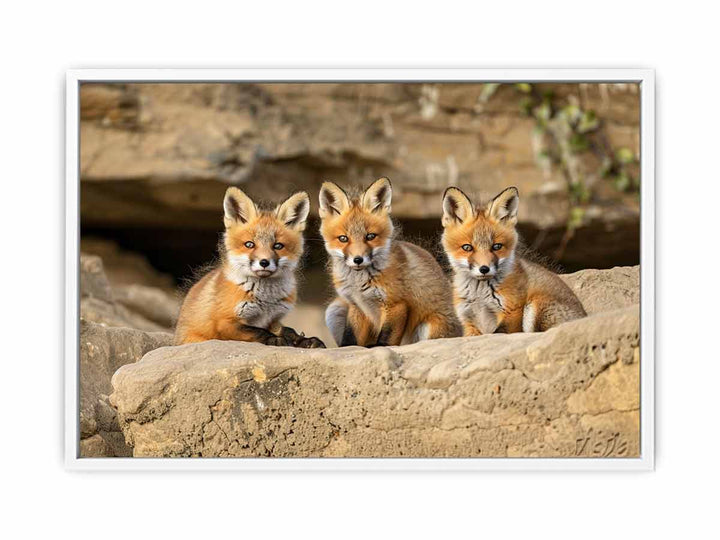 Three Red Fox Kits Art Painting
