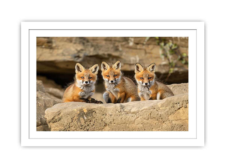 Three Red Fox Kits Art  framed Print