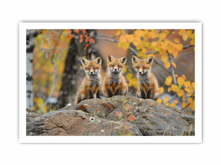 Three Red Fox Art framed Print