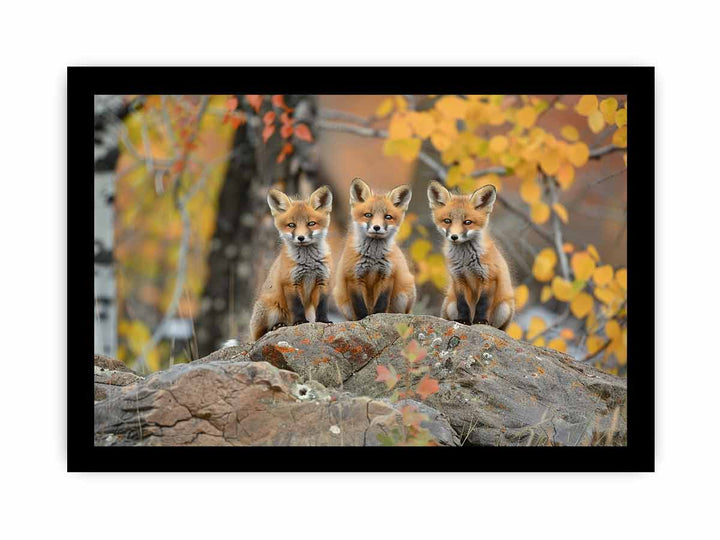 Three Red Fox Art framed Print