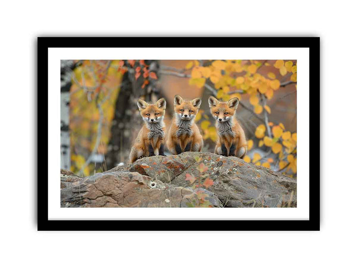 Three Red Fox Art framed Print