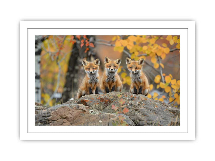 Three Red Fox Art framed Print