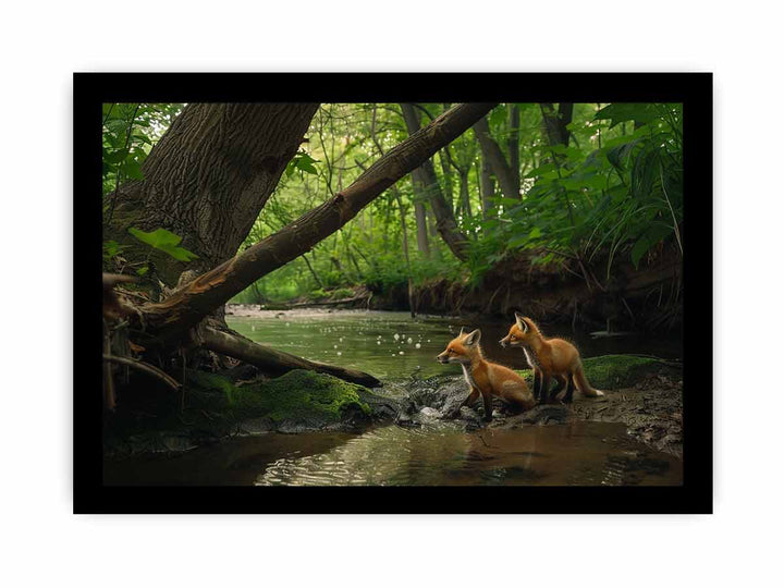 Red fox in Jungle  Art framed Print