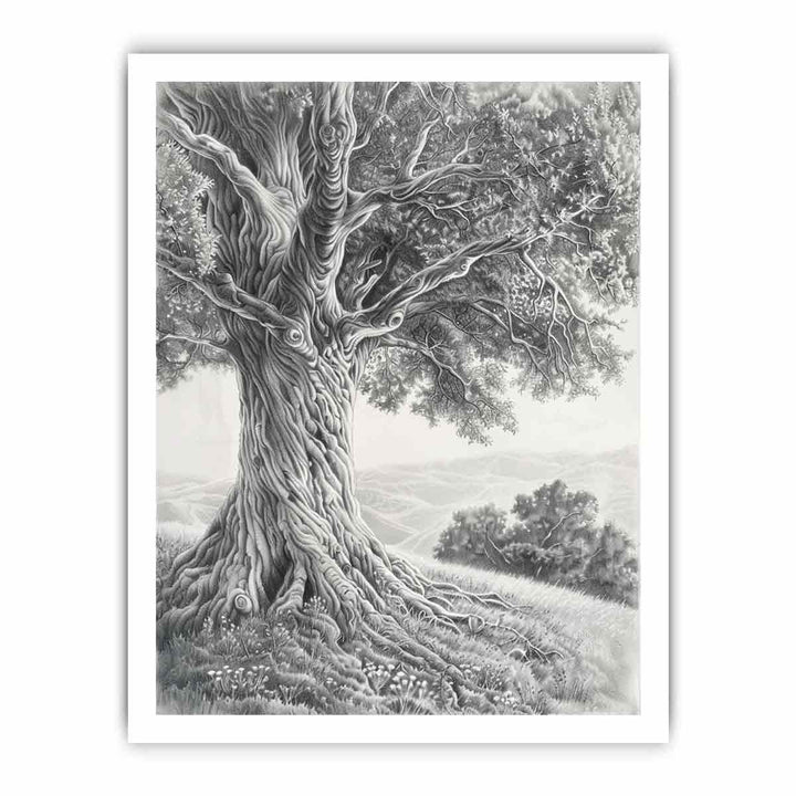 Tree of Peace  Pencil  Art framed Print