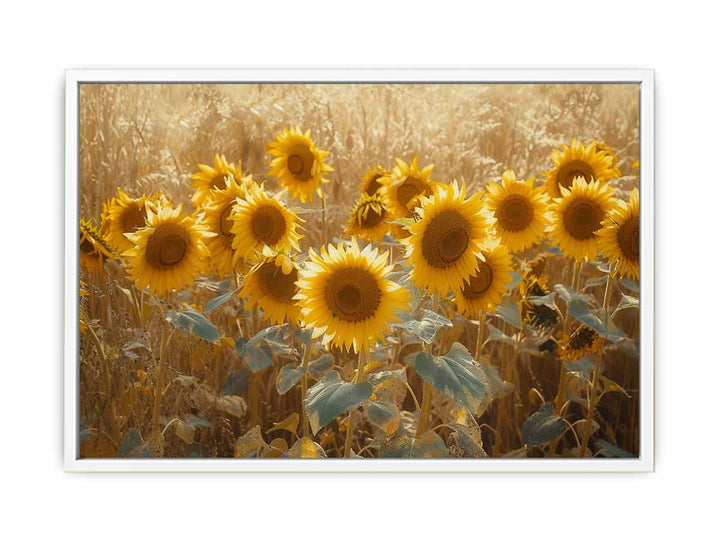 Summer Sunflower  Canvas Print