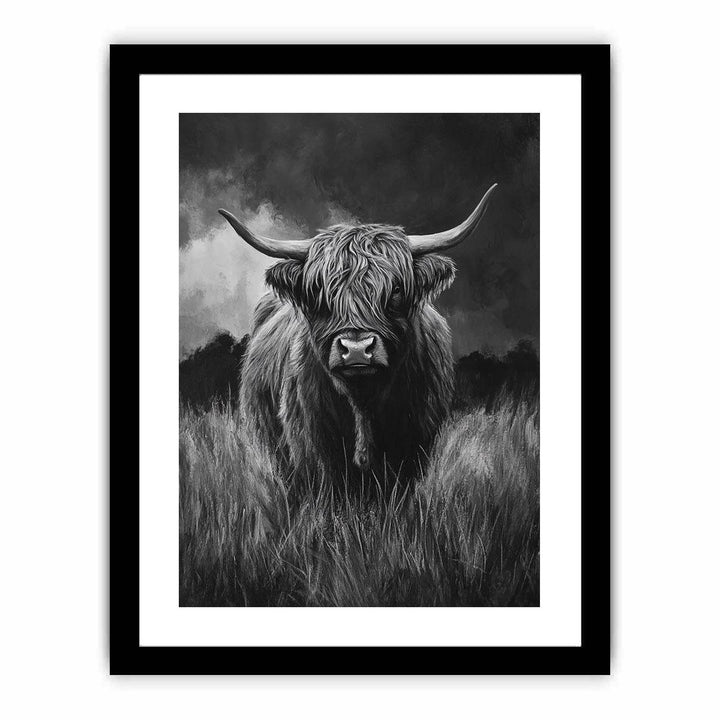  Highlind Cow In Black And White Canvas Painting 