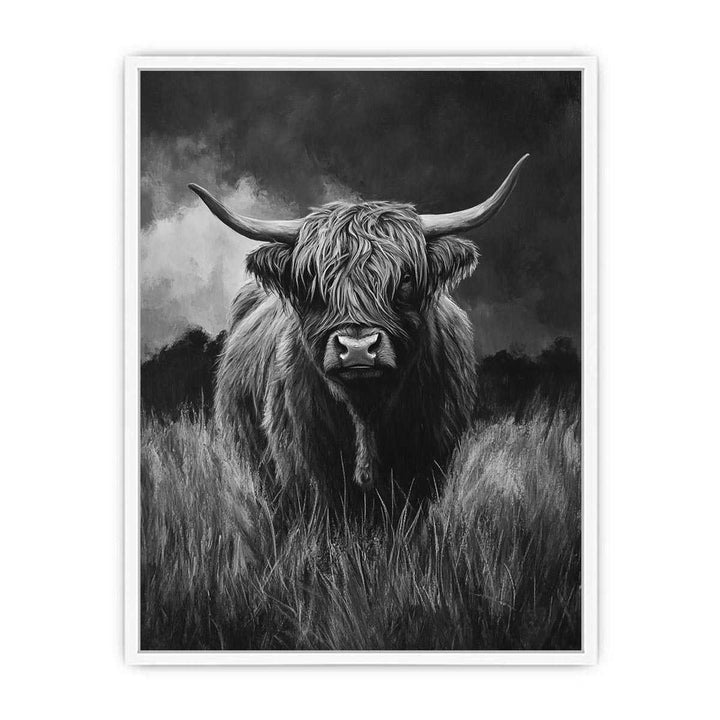  Highlind Cow In Black And White Canvas Painting 