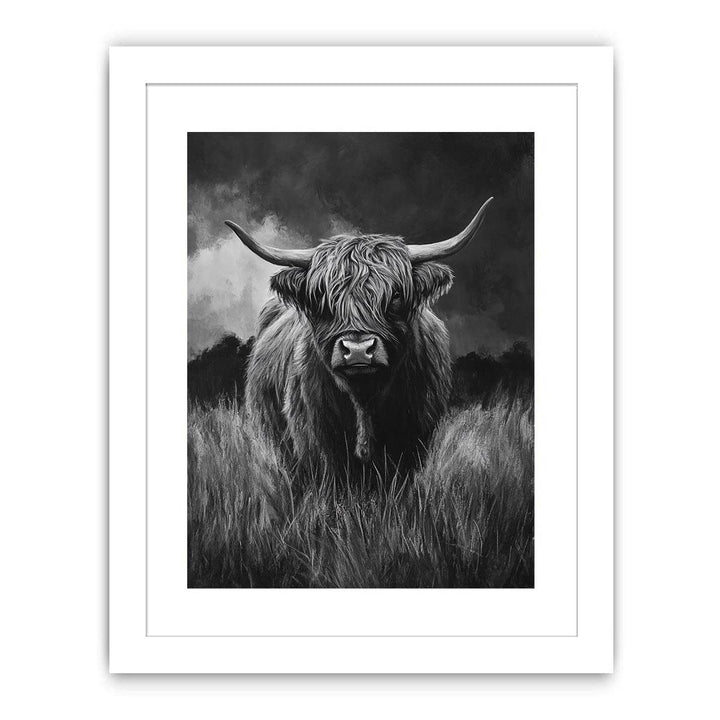  Highlind Cow In Black And White Canvas Painting 