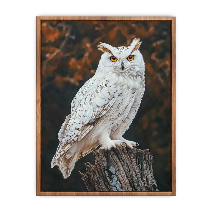 Sonwy Owl Canvas Painting 