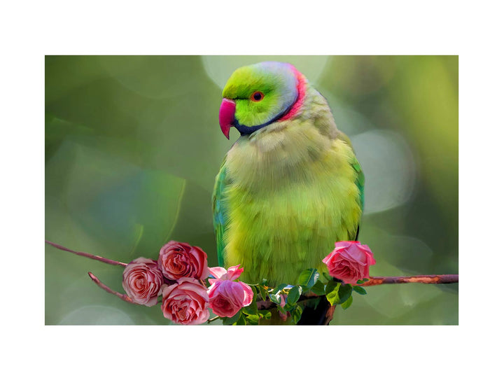 Parrot And Roses Painting