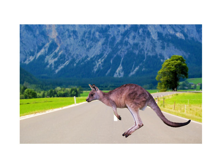 Running kangaroo Painting