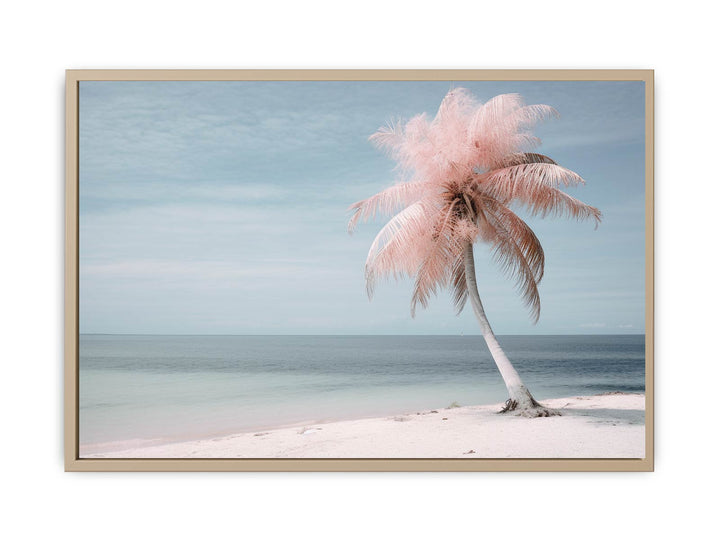 Silver Pink Beach Tree  framed Print