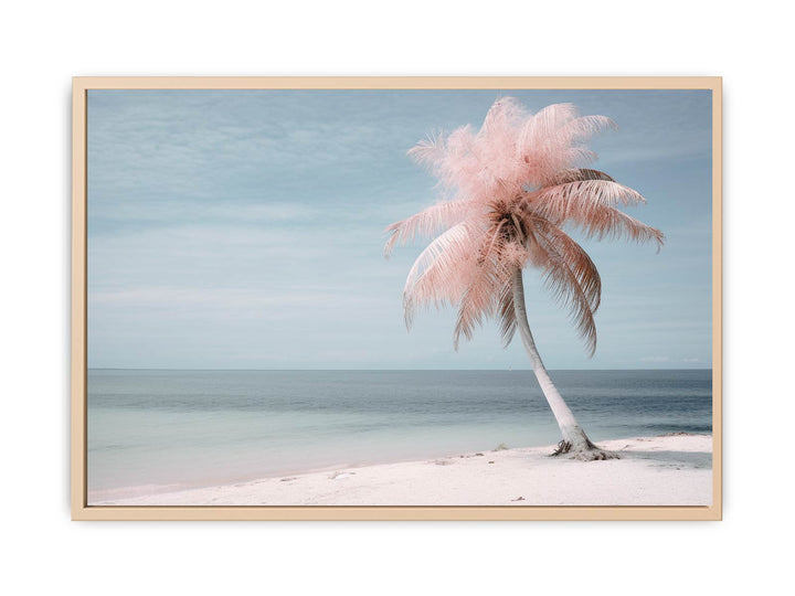 Silver Pink Beach Tree  framed Print