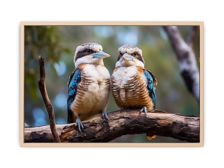 Laughing Kookaburra Pair  framed Print