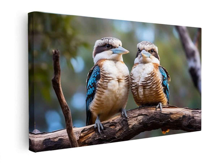 Laughing Kookaburra Pair   canvas Print