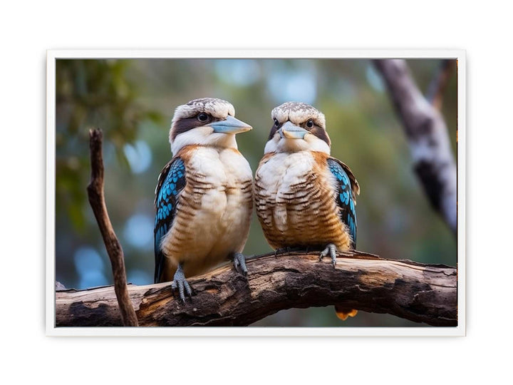 Laughing Kookaburra Pair   Painting