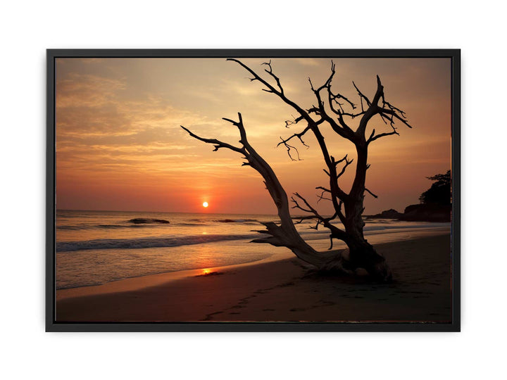 Botany Bay Australia Sunset Art   canvas Print