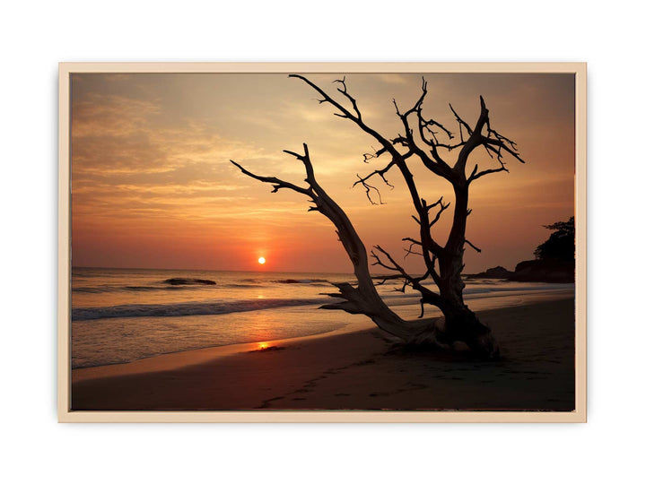 Botany Bay Australia Sunset Art  framed Print