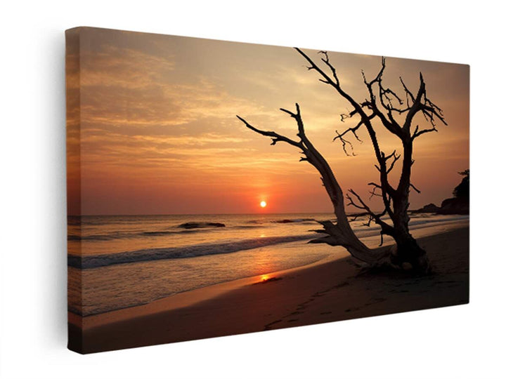 Botany Bay Australia Sunset Art   canvas Print