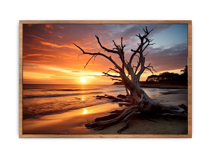 Botany Bay Australia Painting  