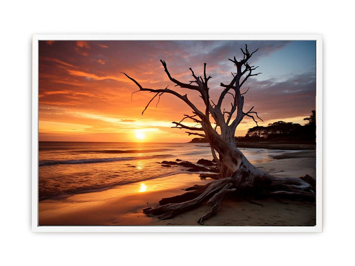 Botany Bay Australia Painting  