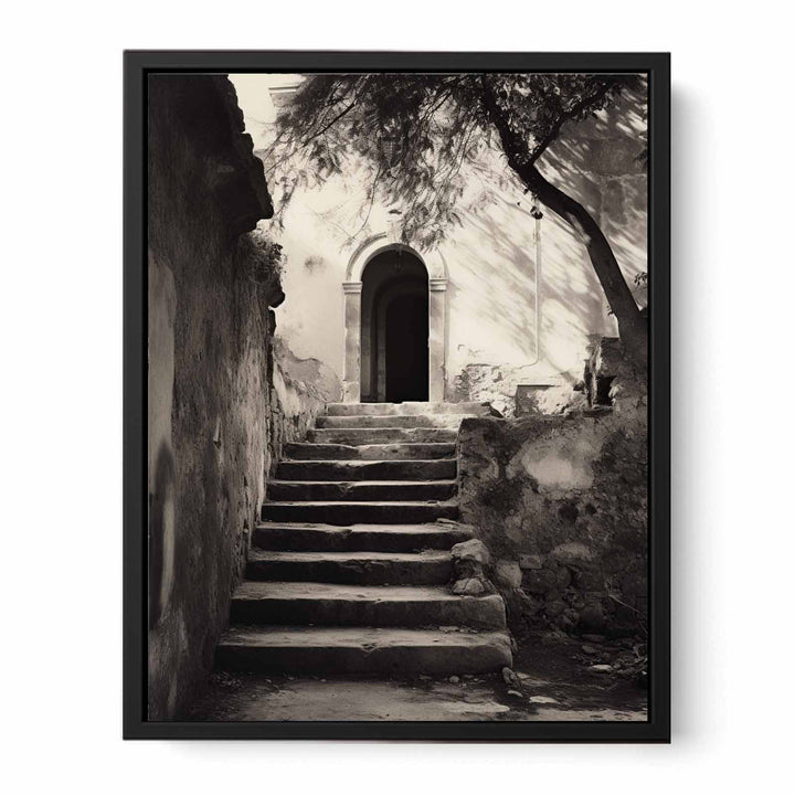 Parisian Steps  canvas Print