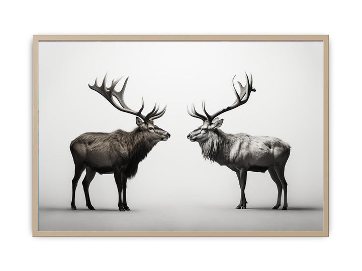 Eye To Eye Stags framed Print