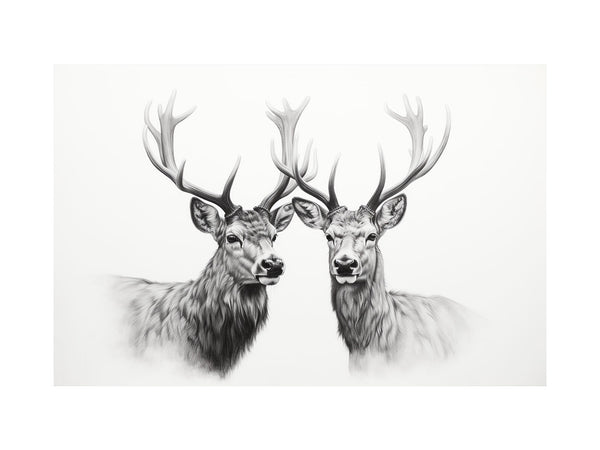 Black And White Deer