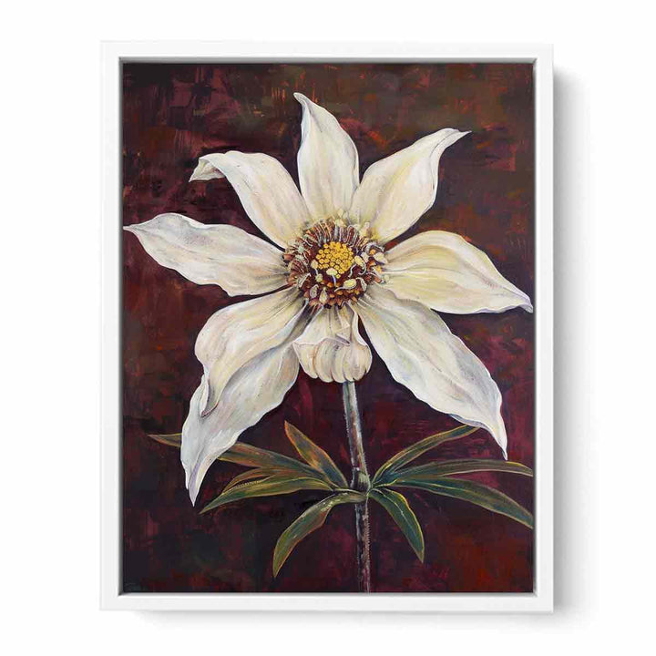 Flannel Flower Framed Print