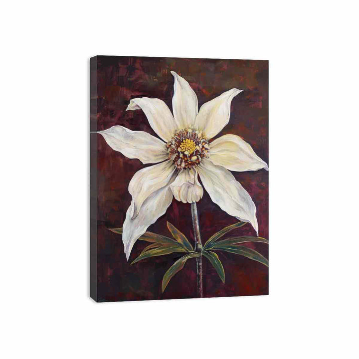 Flannel Flower Canvas Print