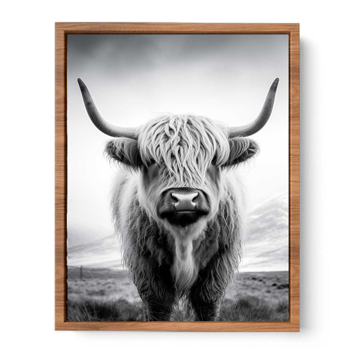 Highland Cow Painting  