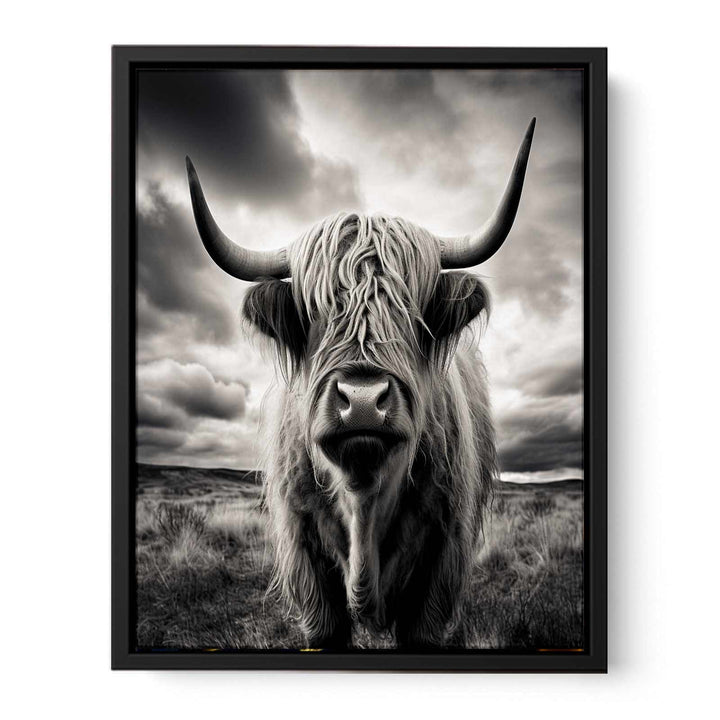 Highland  Cow Painting BW  canvas Print